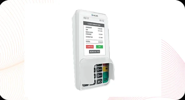 Valor VL300